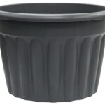 Biggest Plastic Plant Pots: Choosing the Best for Large Plants