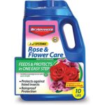 Bayer Rose & Flower Care: The Best Tips for Healthy Roses and Beautiful Flowers