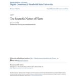 How to Create a Scientific Name for Your Plant Discoveries