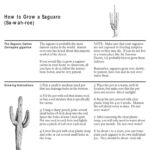 How Fast Do Saguaros Grow? Understanding the Growth Rate of the Saguaro Cactus