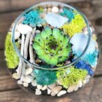 Can You Put Succulents in a Terrarium? Best Tips and Ideas