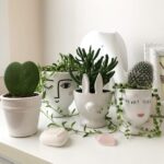 Small Rectangle Plant Pots: Best Picks for Your Space