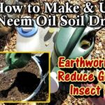 Neem Oil as a Soil Drench: How to Use Neem Oil to Protect Your Plants