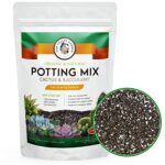 Potting Soil with Sand: How to Create the Ideal Soil Mix for Cactus and Succulents
