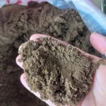 Where to Get Silt Soil: Best Places to Find Silt Soil for Your Plants