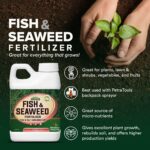 Liquid Seaweed and Fish Emulsion: Why These Fertilizers Are Great for Cactus Plants