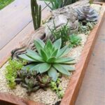 Front Yard Cactus Garden: How to Create a Stunning Cactus Garden in Your Front Yard
