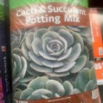 Cacti and Succulent Potting Mix: The Best Soil Mix for Cactus and Succulent Plants
