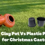 Clay Pot vs Plastic Pot: Which Is Better for Your Plants?