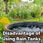How to Store Rainwater for Plants the Right Way