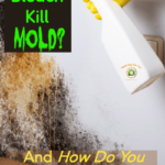 Will Bleach Kill Cactus: The Effects of Bleach on Cactus and Why You Should Avoid It
