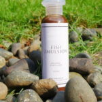 Kelp and Fish Emulsion: The Benefits of These Organic Fertilizers for Cactus Growth