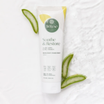 Aloe Vera Leaves Curling: What Causes Aloe Vera to Curl and How to Fix It