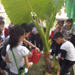 Is It Best to Water Plants in the Morning or Evening?