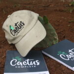 When to Water a Cactus: A Complete Care Guide
