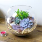 Glass Terrarium with Succulents: Creating a Gorgeous Succulent Terrarium in Glass