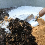 Potting Soil for Cacti: Finding the Right Blend for Healthy Thriving Plants