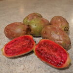 Can You Eat Prickly Pear Seeds: The Truth About Prickly Pear Cactus Seeds