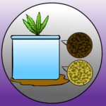 How to Propagate an Aloe Vera Plant from Start to Finish