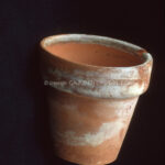 Do Terracotta Pots Absorb Water? What You Should Know