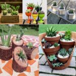 Large Cactus Planter Ideas: Creative Ways to Showcase Your Cactus in Big Pots