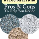 Yellow Fish Tank Gravel: Pros Cons and Cool Ideas