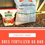 Does Plant Food Go Bad? How to Tell if Your Fertilizer Is Still Effective