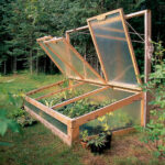 What Is a Cold Frame Greenhouse: How to Use a Cold Frame for Growing Cacti