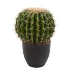 Cactus with Fake Flower: How to Add Artificial Blooms to Your Cactus for Extra Beauty