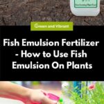 Fish Emulsion Liquid Fertilizer: How to Use Fish Emulsion for Healthy Cactus Growth