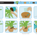 How to Pot a Cactus: Step-by-Step Instructions for Potted Cactus Plants