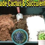 Cactus Soil Mix Ratio: The Best Soil Mix for Healthy Cactus Growth
