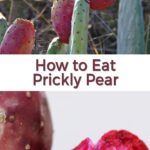 Can You Eat the Seeds of a Prickly Pear: The Truth About Prickly Pear Seeds