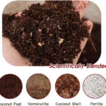 Succulent Plant Soil Mixture: DIY Recipes for Healthy Plants