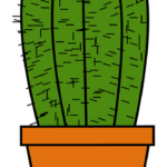 Cactus in Clay Pot: Why Clay Pots Are the Best Choice for Your Cactus
