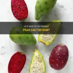 Can You Eat Prickly Pear Cactus Raw? A Guide to Eating Prickly Pear Cactus Fresh