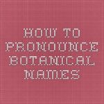 How to Pronounce ‘Cac’ and Other Botanical Terms