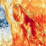Plants in Death Valley: How They Survive Extreme Heat