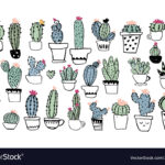 How to Identify Cactus: A Guide to Recognizing Different Types of Cacti