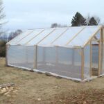 Clear Plastic Roof Panels for Your Greenhouse: Pros and Cons