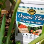 Kelp and Fish Fertilizer: Benefits for Cactus Growth and How to Use Them