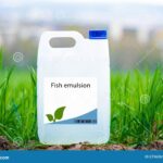 What Is in Fish Emulsion? The Benefits of Using Fish Emulsion for Plant Growth