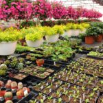 Nurseries