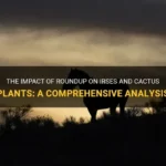Does Roundup Kill Cactus: Understanding the Effects of Roundup on Cacti