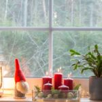 How Much Sunlight Does a Christmas Cactus Need? Understanding the Light Requirements for Christmas Cactus