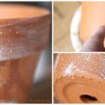 How to Age Terracotta Pots for a Rustic Look