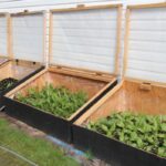 Cold Frame Garden Box: How to Use a Cold Frame for Growing Cacti in Cooler Climates