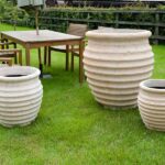 Large Plastic Plant Pots: Why Plastic Pots Are Ideal for Cactus Plants