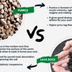 Lava Rock vs. Pumice Stone: Which Is Best for Your Plants?