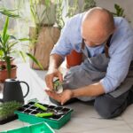 Growing Cactus Plants Indoors: Secrets to Success